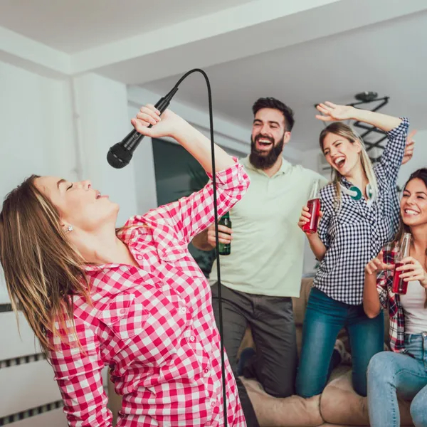 Handheld Wired Microphone Cardioid Dynamic Vocal Mic With On Off 13ft Cable 6.35 Mm Jack For Speaker Karaoke Ampilifier Mixer Professional Studio & Live Performance - Image 2