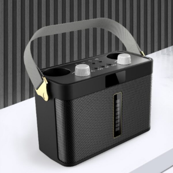 Outdoor Bluetooth Speaker Karaoke Double Microphone Classroom Teaching Meeting P