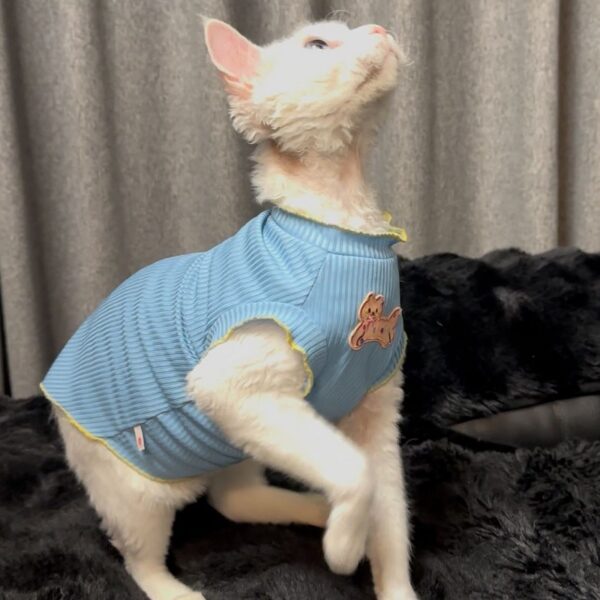 Summer New-arrival Stretchy Fur-free Sleeveless Tank For Cats