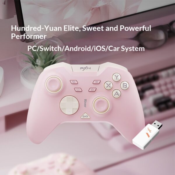 Lay'sda P5 Wireless Game Controller